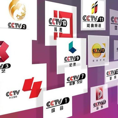 专业广告代理服务 一站式解决您的品牌传播需求